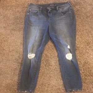Torrid denim jean